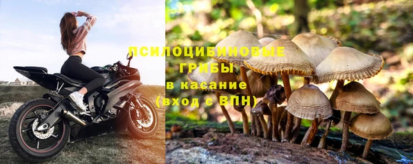 метадон Белокуриха