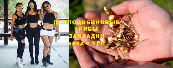 эйфоретик Беломорск