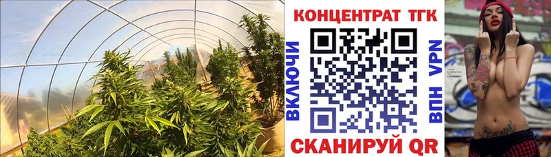 ТГК THC oil  Усолье 